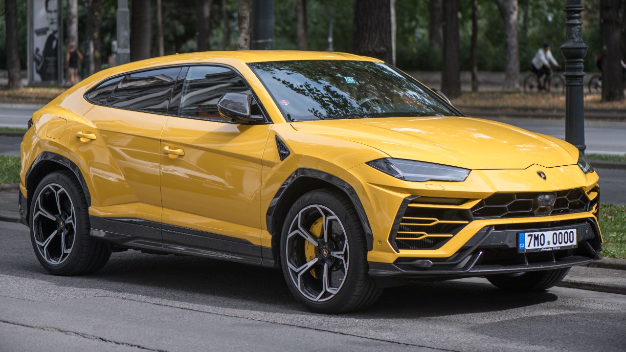 Image Credit: Johannes Maximilian - CC BY-SA 4.0/Wiki Commons