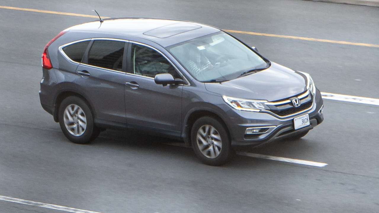 Image Credit: OWS Photography - CC BY 4.0/Wiki Commons