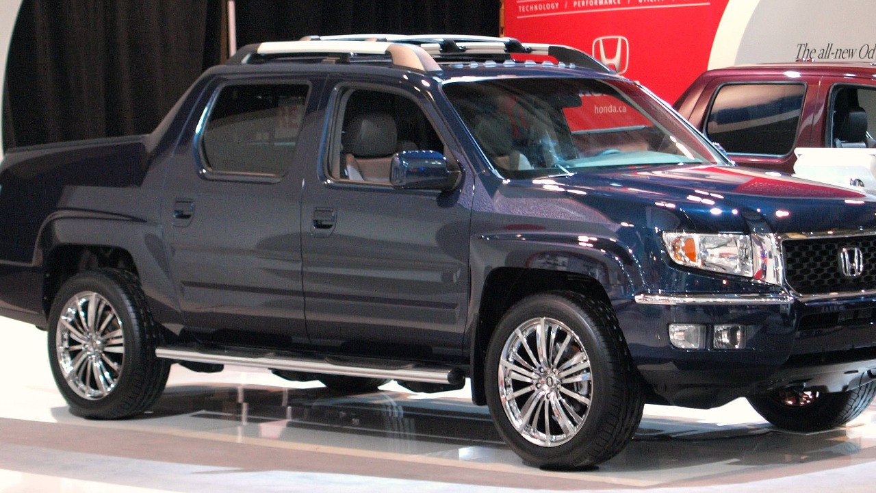 Image Credit: Michael Gil from Calgary, AB, Canada - CC BY 2.0/Wiki Commons