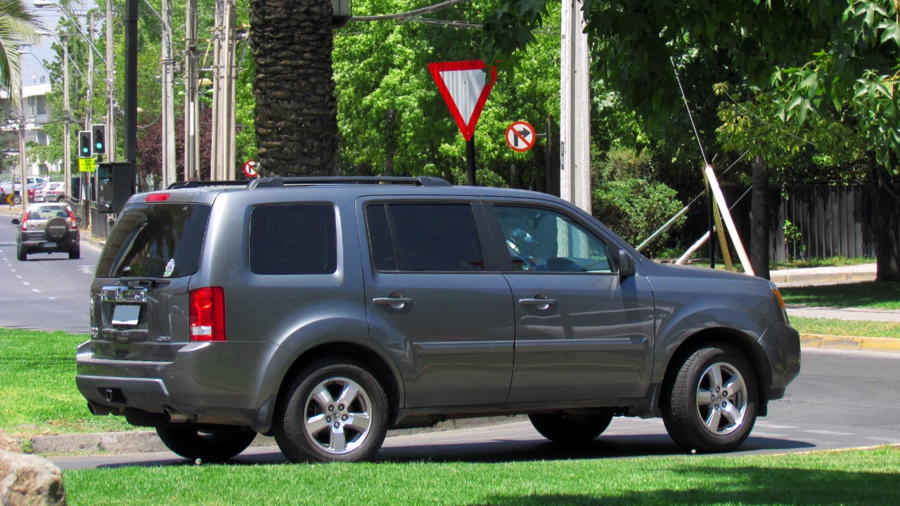 Image Credit: RL GNZLZ from Chile - CC BY-SA 2.0/Wiki Commons