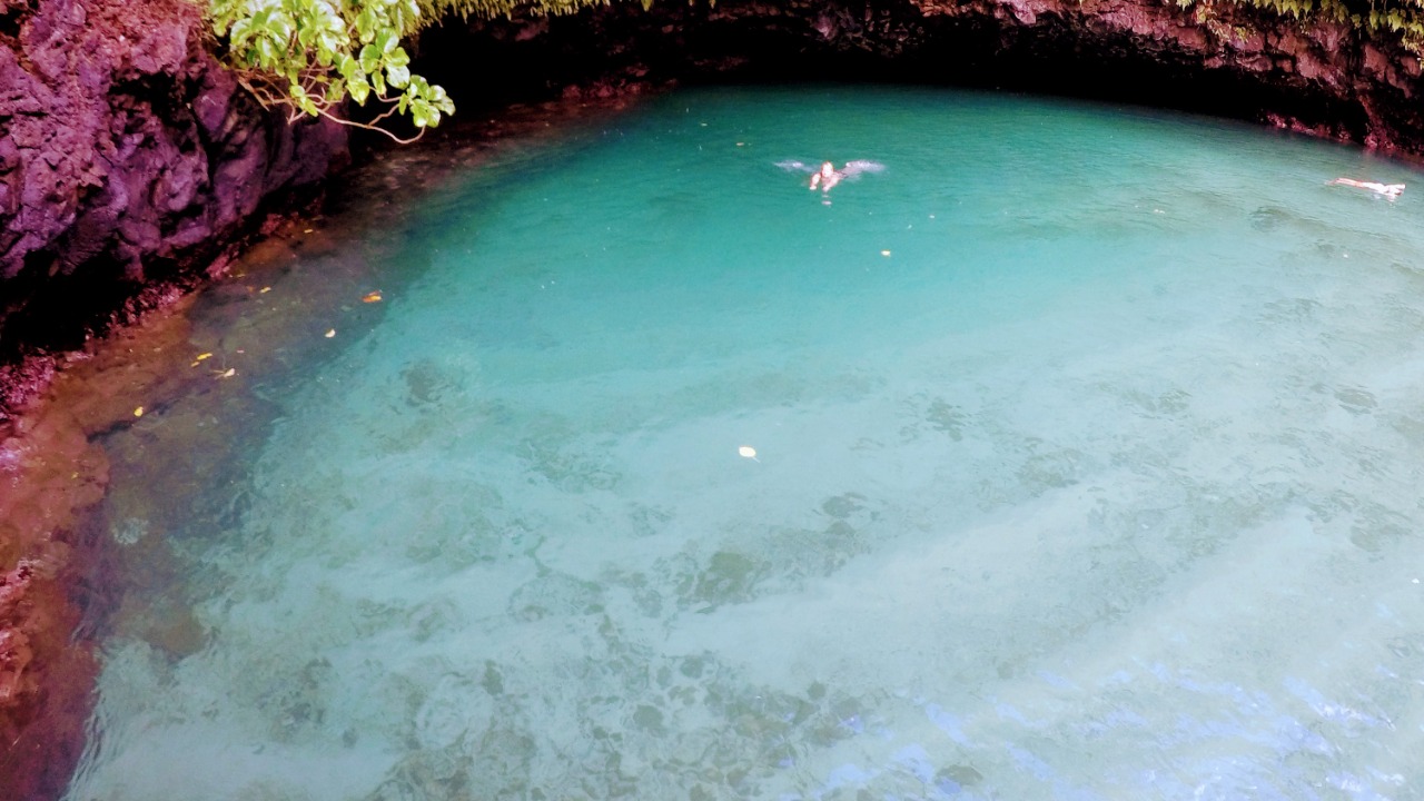 Image Credit: amanderson2 - CC BY 2.0/Wiki Commons