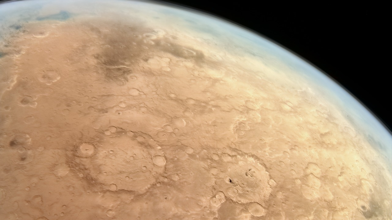 Image Credit: Andrea Luck from Glasgow, Scotland, United Kingdom - CC BY 2.0/Wiki Commons