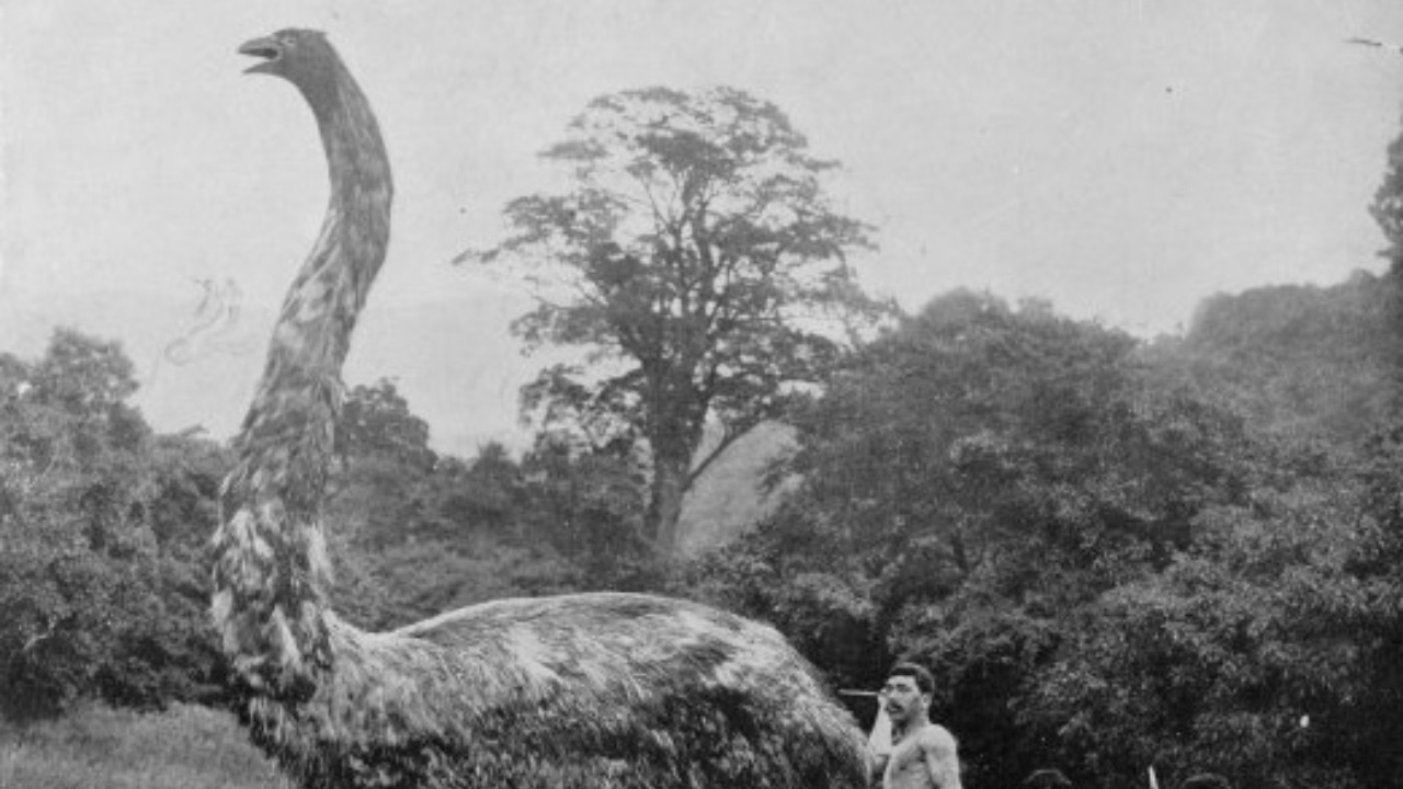 Image Credit: Augustus Hamilton - Public domain/Wiki Commons