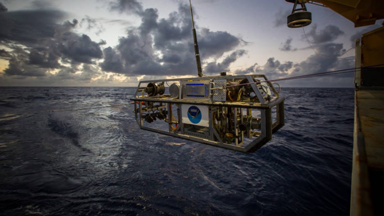 Image Credit: NOAA Office of Ocean Exploration and Research, Exploring Puerto Rico’s Seamounts, Trenches, and Troughs - Public domain/Wiki Commons