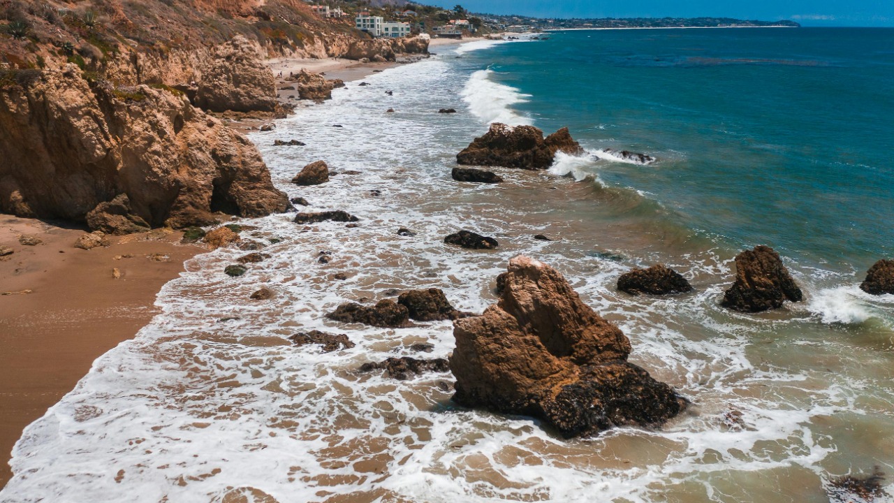 RDNE Stock project/Pexels