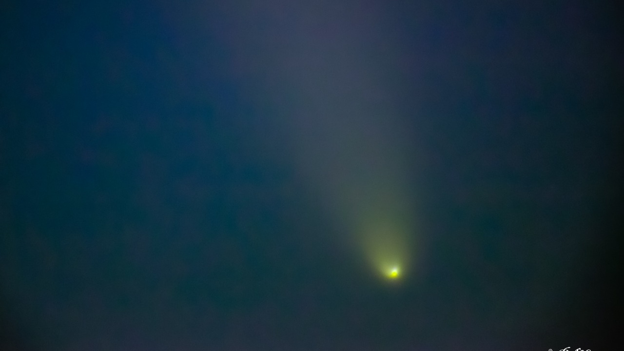 Image Credit: paramsach - CC BY 2.0/Wiki Commons