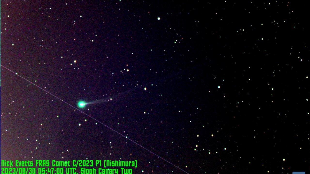 Image Credit: Nick 20LUN - CC BY-SA 2.0/Wiki Commons