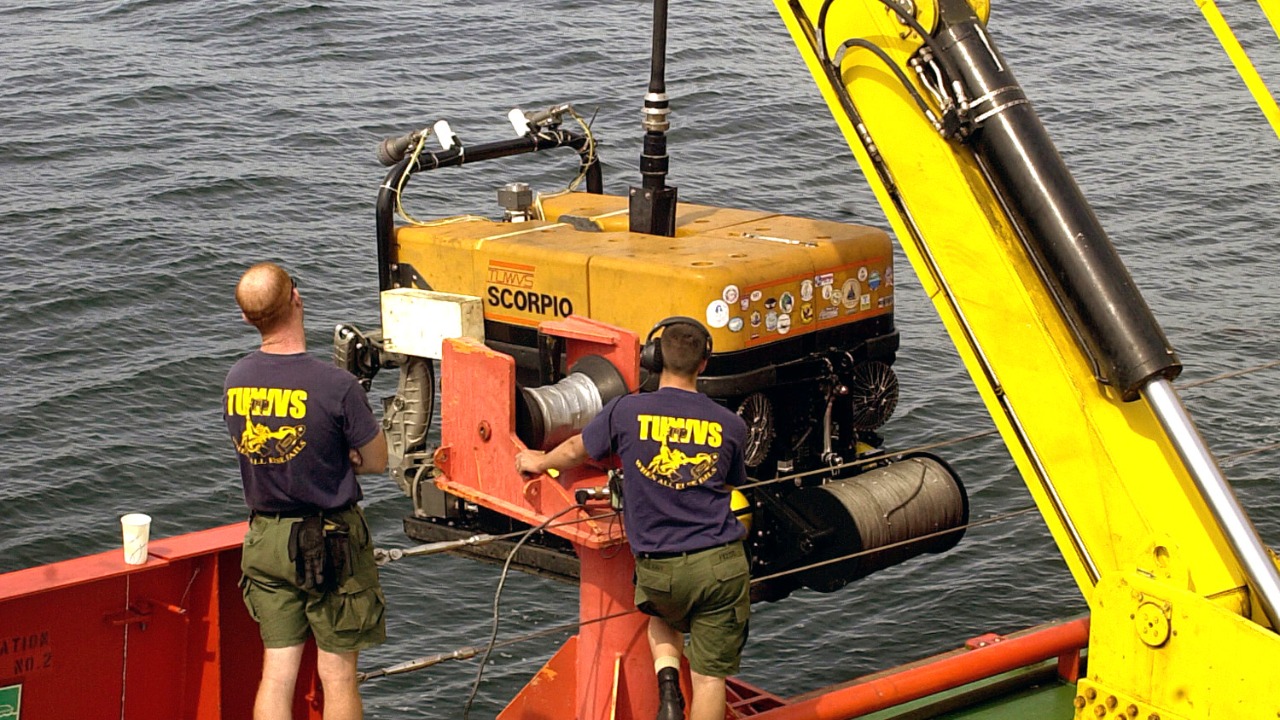 Image Credit: U.S. Navy/Photographer's Mate 1st Class Daniel N. Woods - Public domain/Wiki Commons