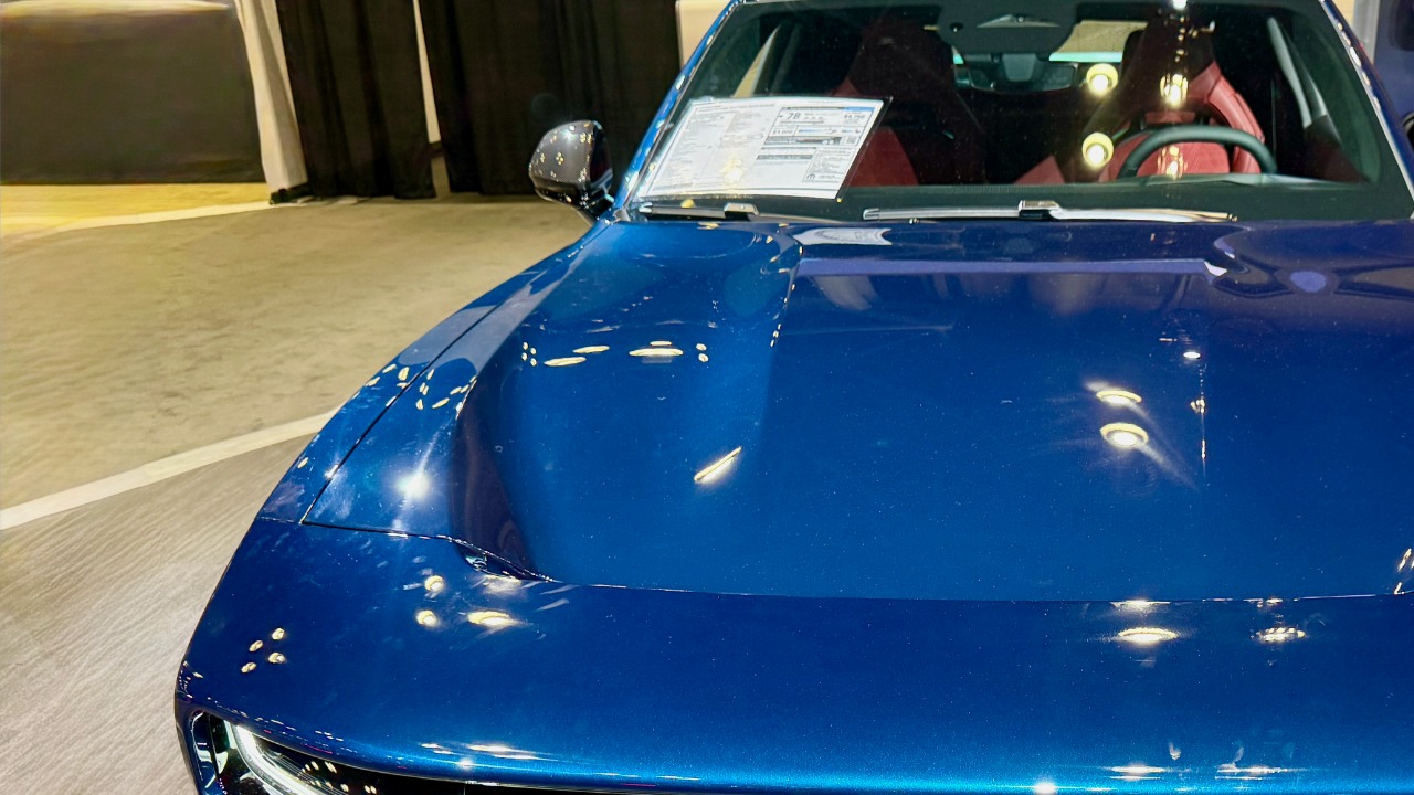 Image Credit: This picture has been taken by Oleg Yunakov. Contact e-mail: yunakovgmail.com. Image can be used in accordance with the terms of the СС-BY-SA license. Other photos can be seen here. - CC BY-SA 4.0/Wiki Commons