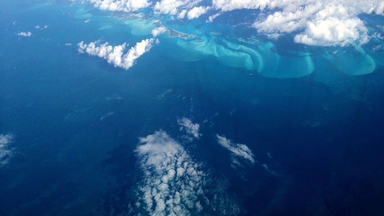 Image Credit: David Broad - CC BY 3.0/Wiki Commons