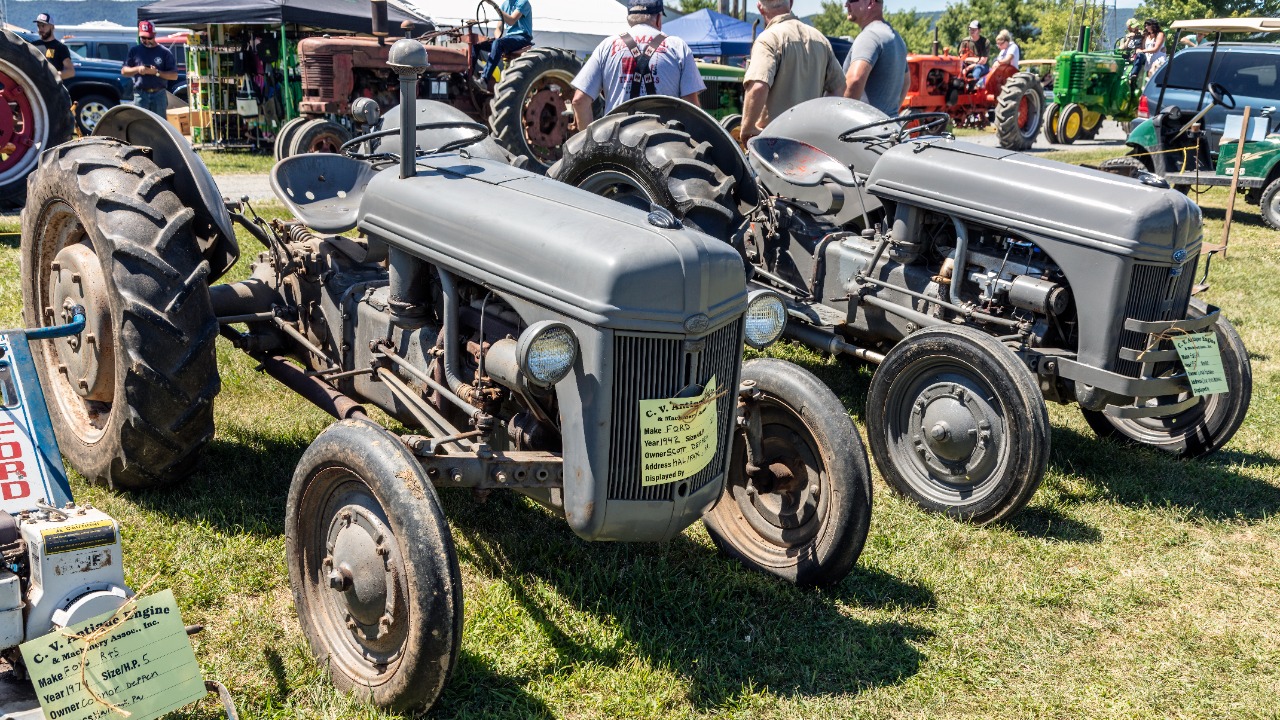 Image Credit: Acroterion - CC BY-SA 4.0/Wiki Commons