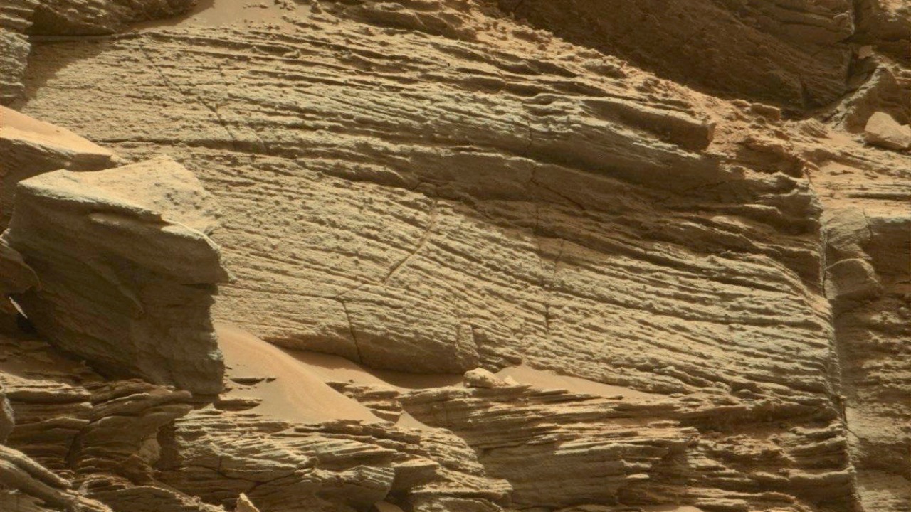 Image Credit: Peter D. Tillman from USA - Public domain/Wiki Commons