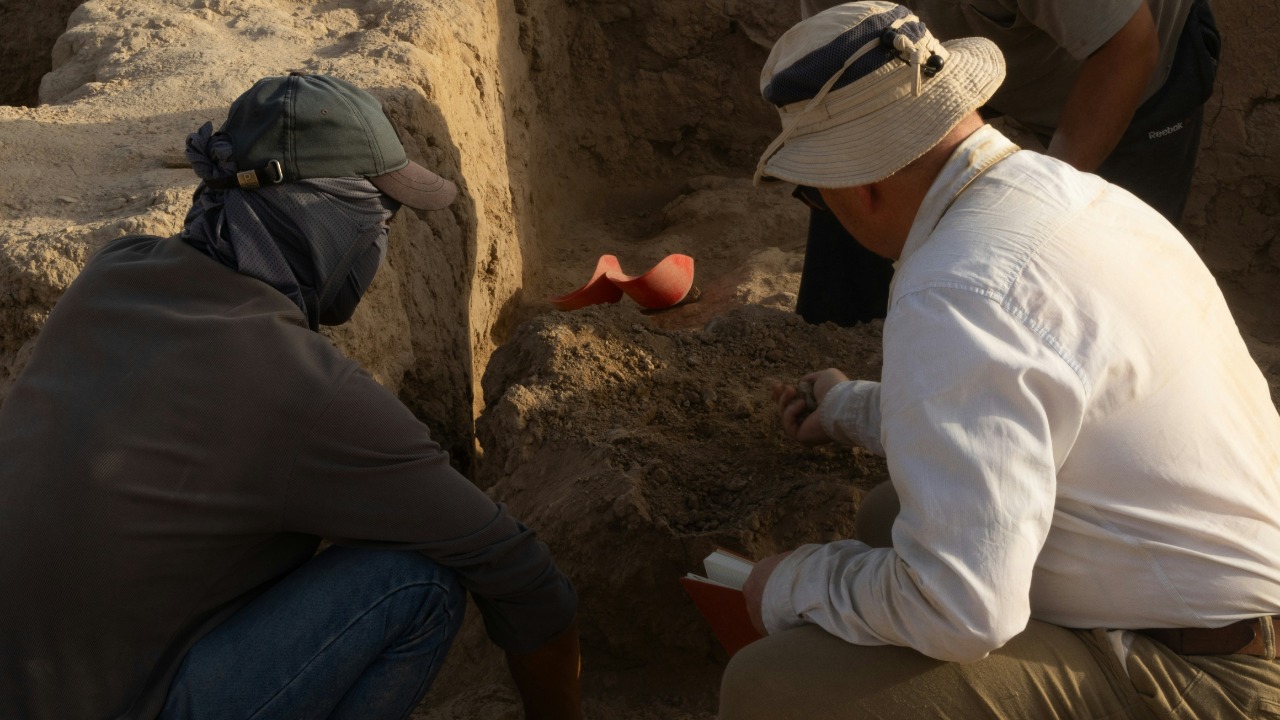 aleksander_stypczynski/Unsplash