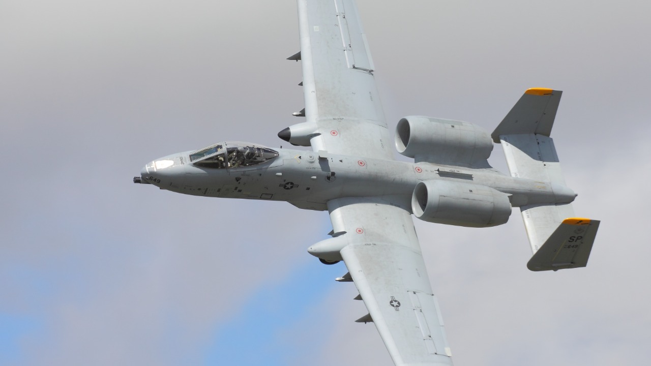 Image Credit: Łukasz Golowanow - Attribution/Wiki Commons