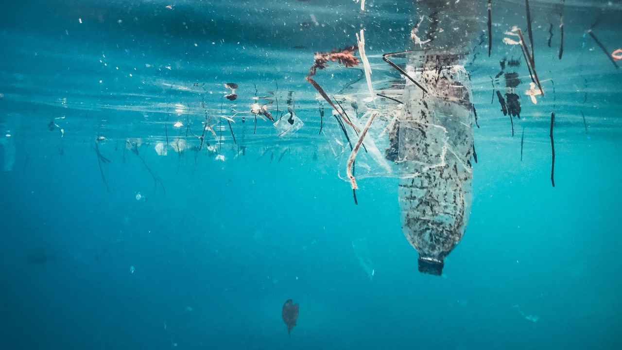 naja_bertolt_jensen/Unsplash