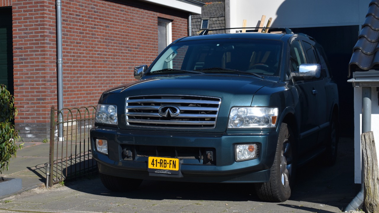 Image Credit: Dennis Elzinga - CC BY 2.0/Wiki Commons