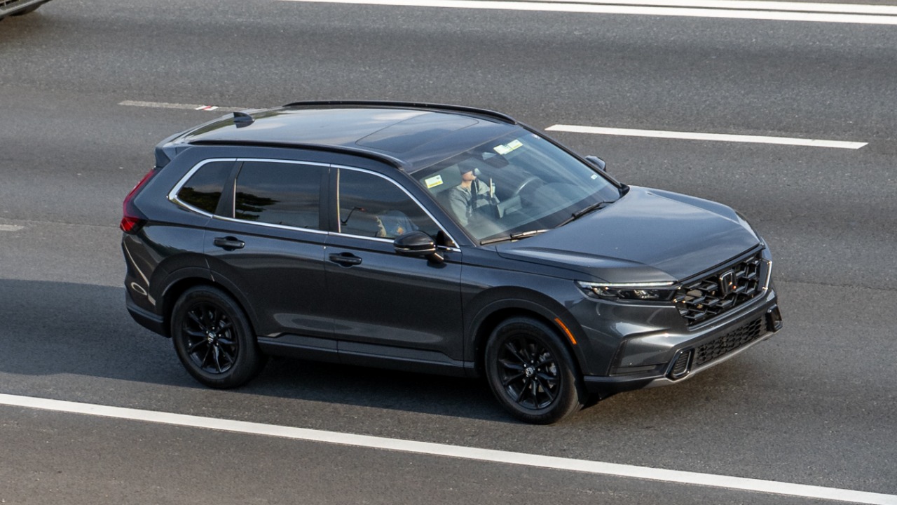 Image Credit: OWS Photography - CC BY 4.0/Wiki Commons