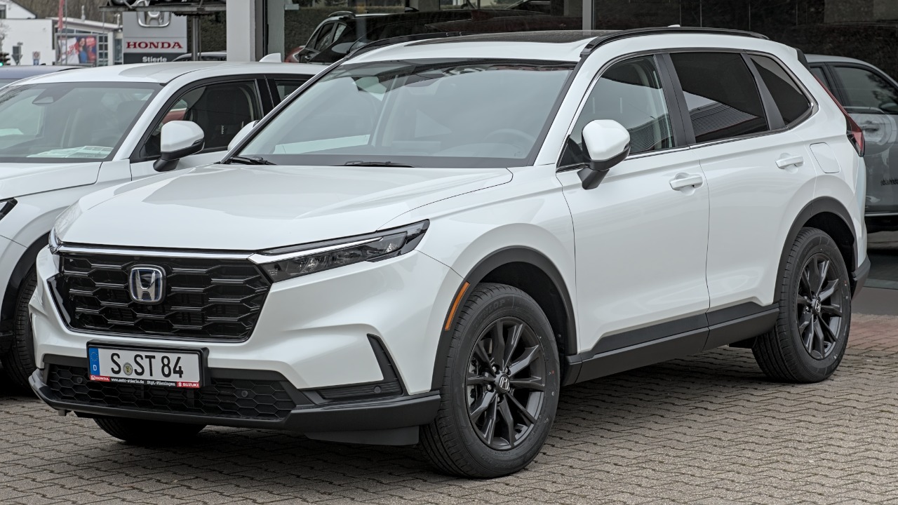 Image Credit: Alexander Migl - CC BY-SA 4.0/Wiki Commons