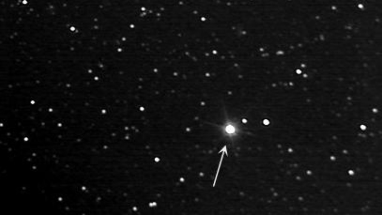 Image Credit: Steve Quirk - Public domain/Wiki Commons