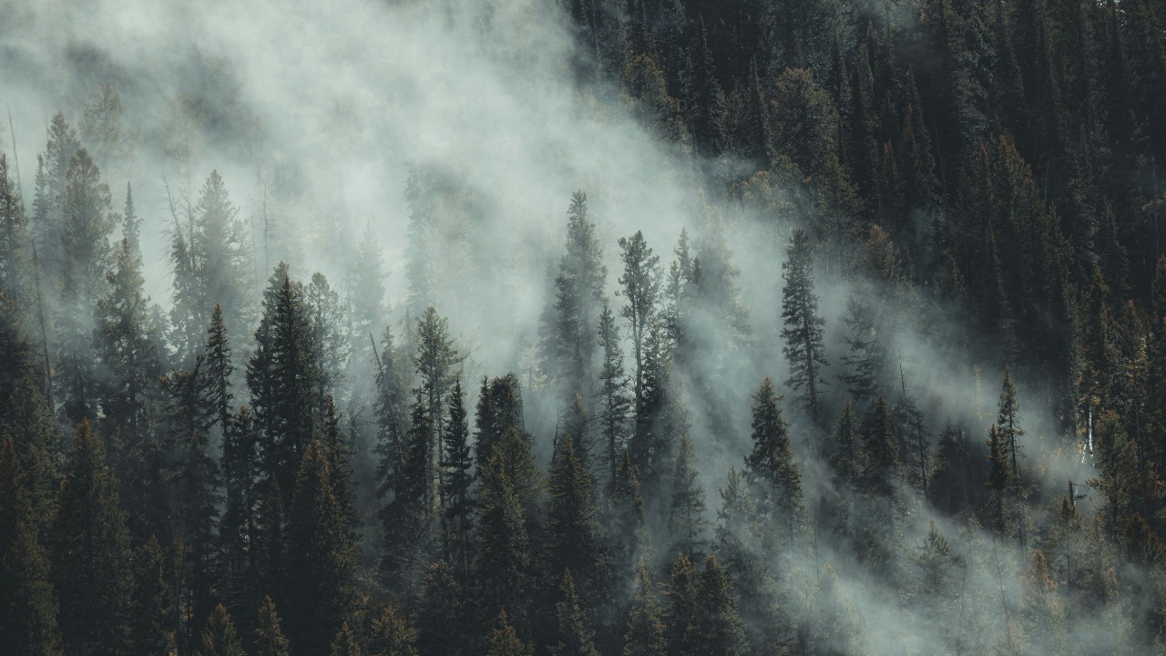 isaactmitchell/Unsplash