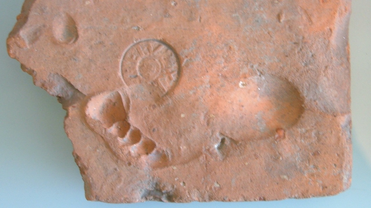 Image Credit: Kleuske - CC BY-SA 3.0/Wiki Commons