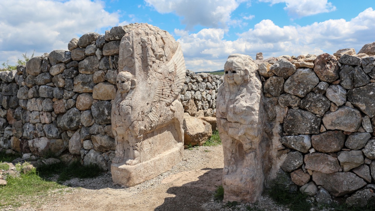 Image Credit: Bernard Gagnon - CC BY-SA 3.0/Wiki Commons