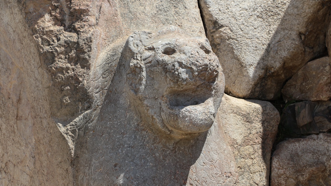 Image Credit: Bernard Gagnon - CC BY-SA 3.0/Wiki Commons