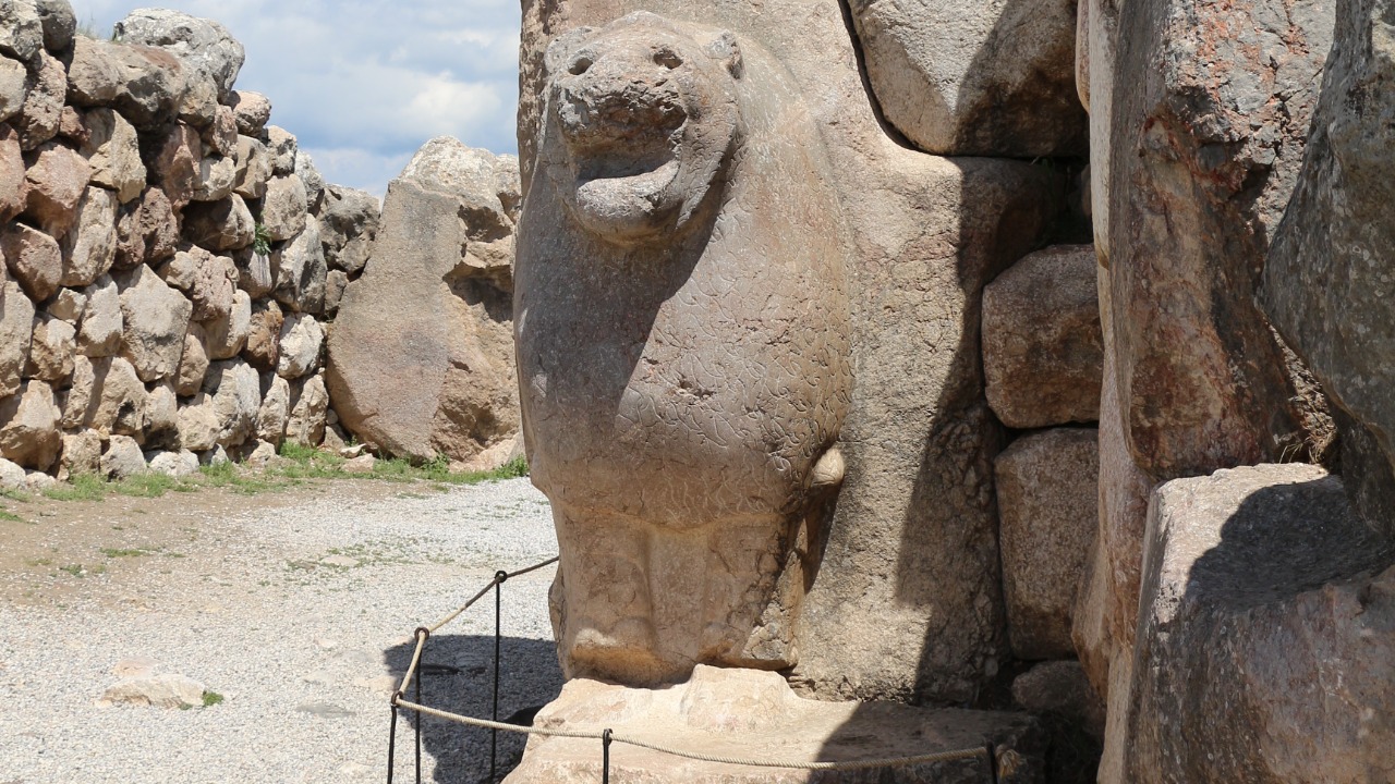 Image Credit: Bernard Gagnon - CC BY-SA 3.0/Wiki Commons