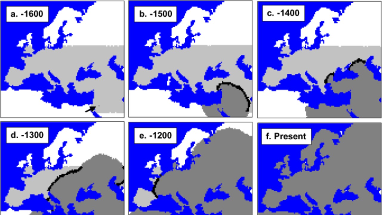 Image Credit: Mathias Currat, Laurent Excoffier - CC BY 2.5/Wiki Commons