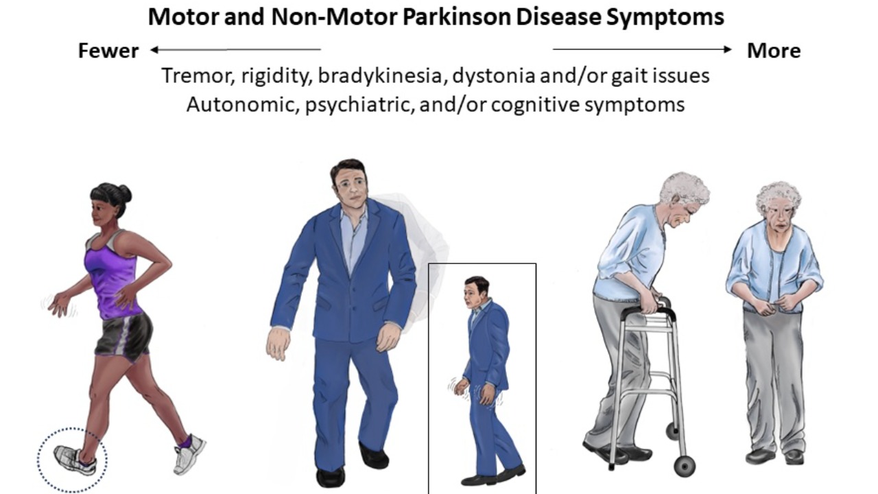 Image Credit: Erica Rodriguez (artist), Michael S. Okun (author), cropped by User:Dustfreeworld - Public domain/Wiki Commons