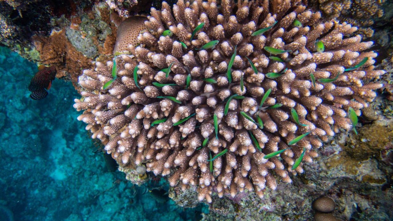 francesco_ungaro/Unsplash