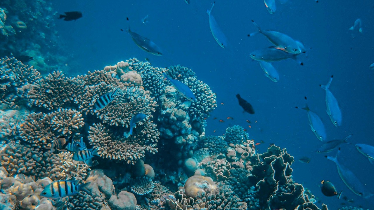 Francesco Ungaro/Pexels