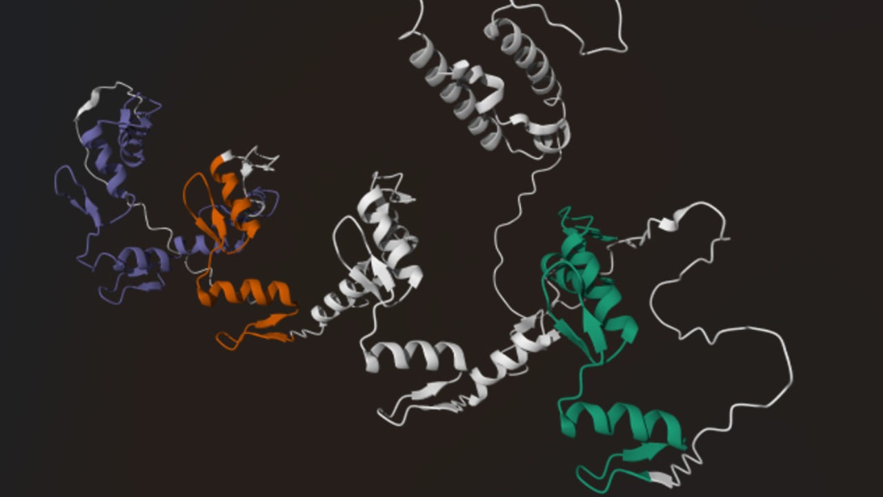 Image Credit: Unknown authorUnknown author - CC BY 4.0/Wiki Commons