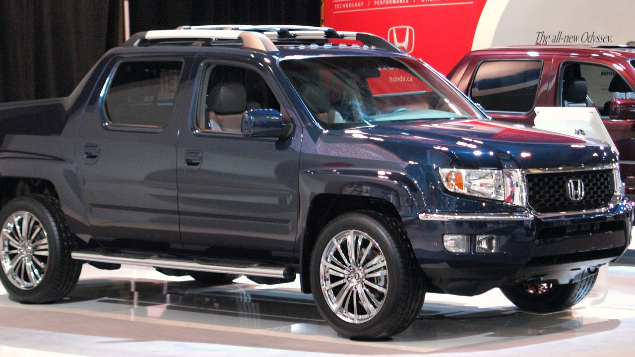 Image Credit: Michael Gil from Calgary, AB, Canada - CC BY 2.0/Wiki Commons