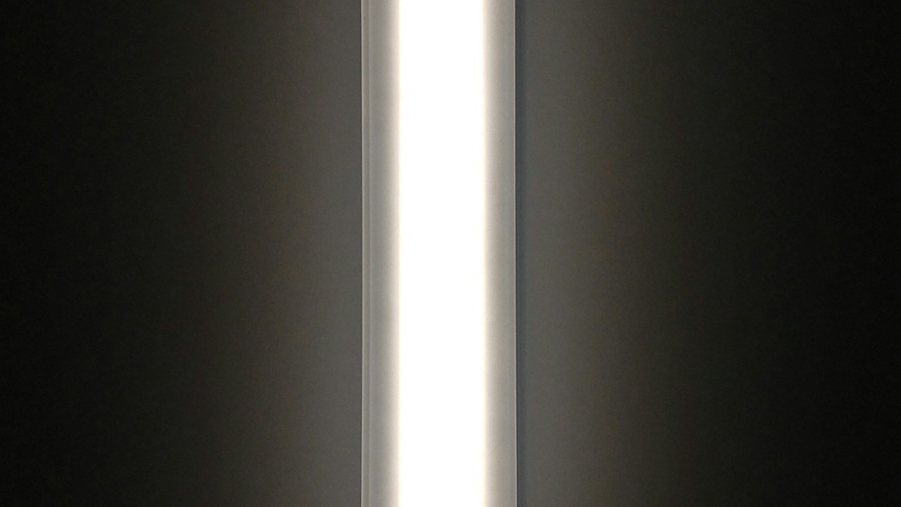 garnicanetwork/Unsplash