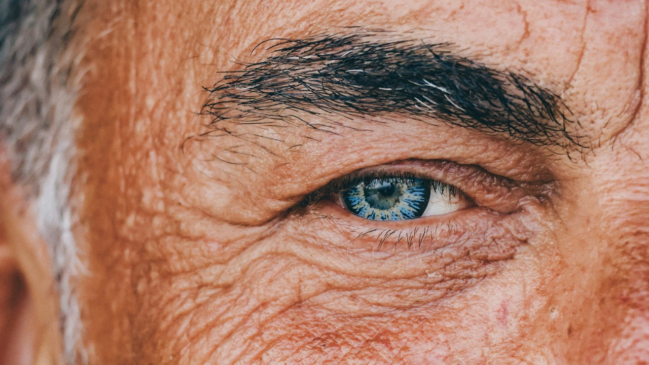 nickkarvounis/Unsplash