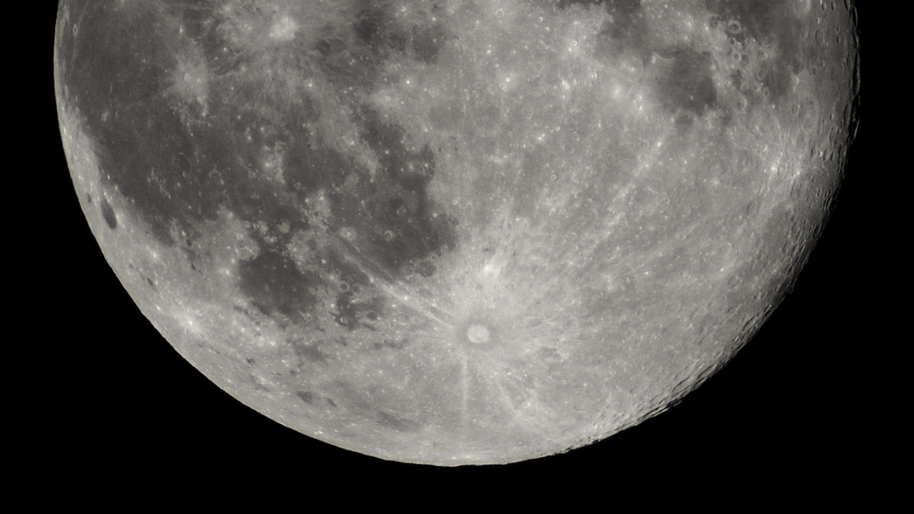 Image Credit: Luc Viatour - CC BY-SA 3.0/Wiki Commons