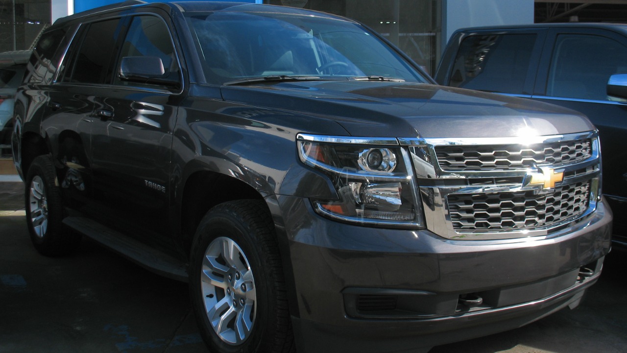 Image Credit: RL GNZLZ from Chile - CC BY-SA 2.0/Wiki Commons