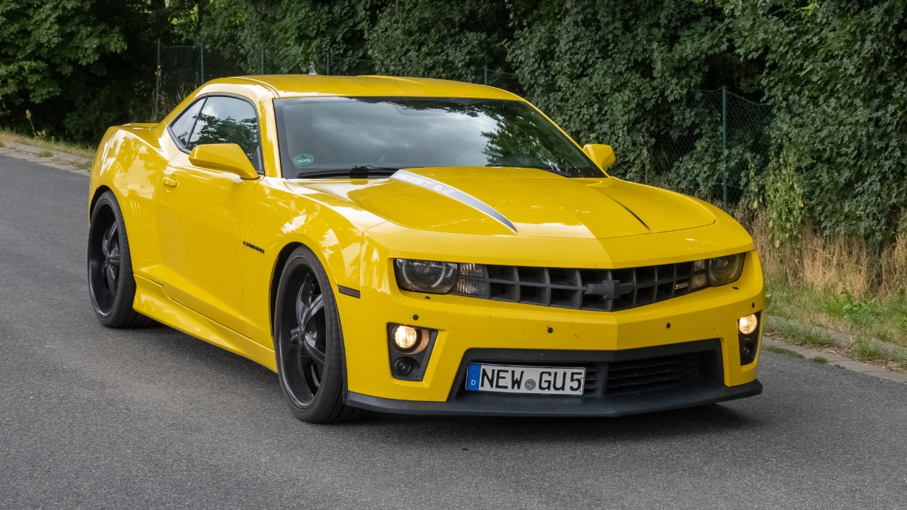 Image Credit: Ermell - CC BY-SA 4.0/Wiki Commons