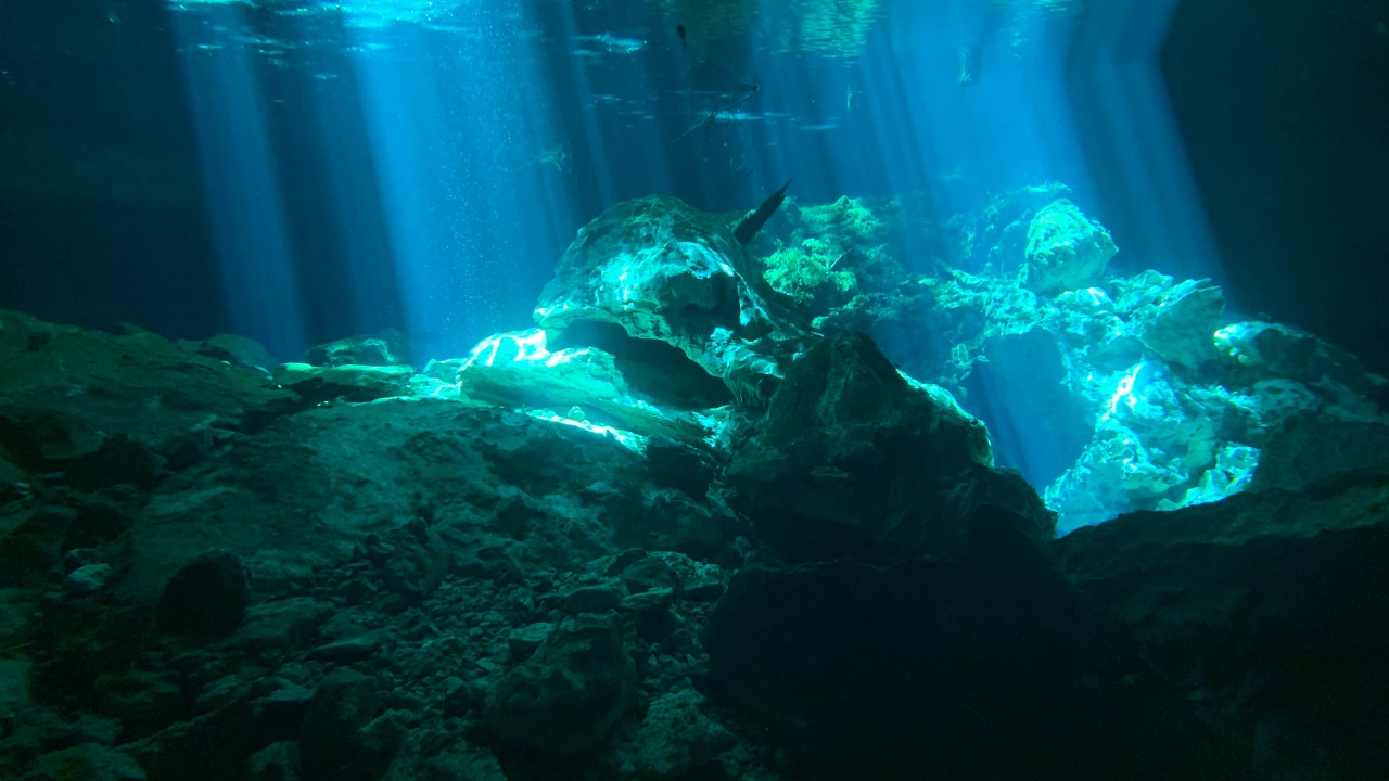 Francisco Davids/Pexels