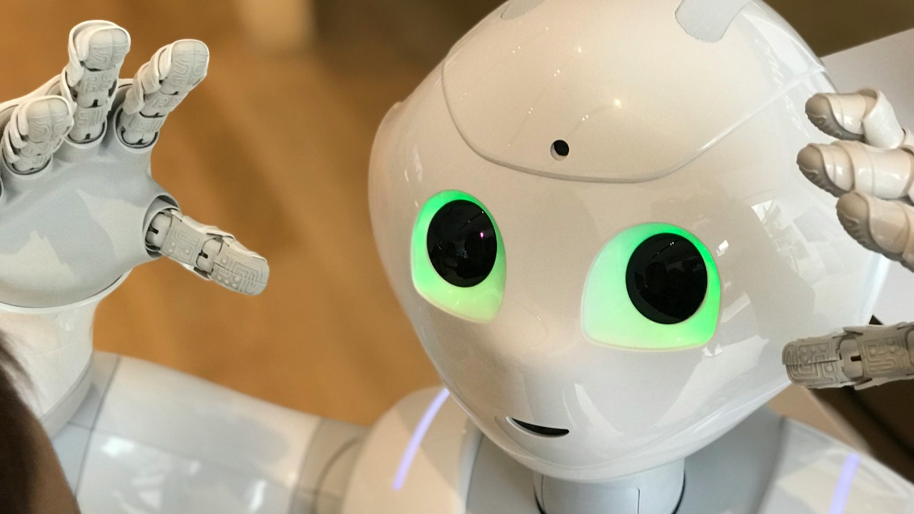 Laura Musikanski/Pexels