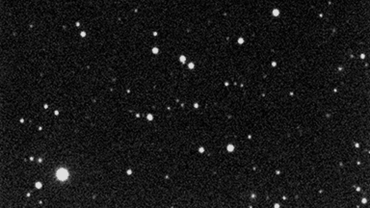 Image Credit: M. Navaroli - CC BY-SA 4.0/Wiki Commons