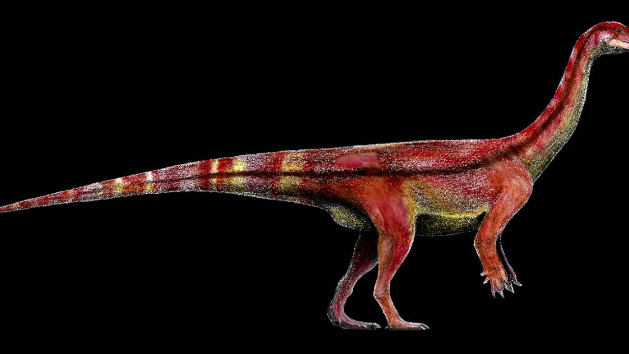 Image Credit: Levi Martinez-Reza - CC BY-SA 4.0/Wiki Commons