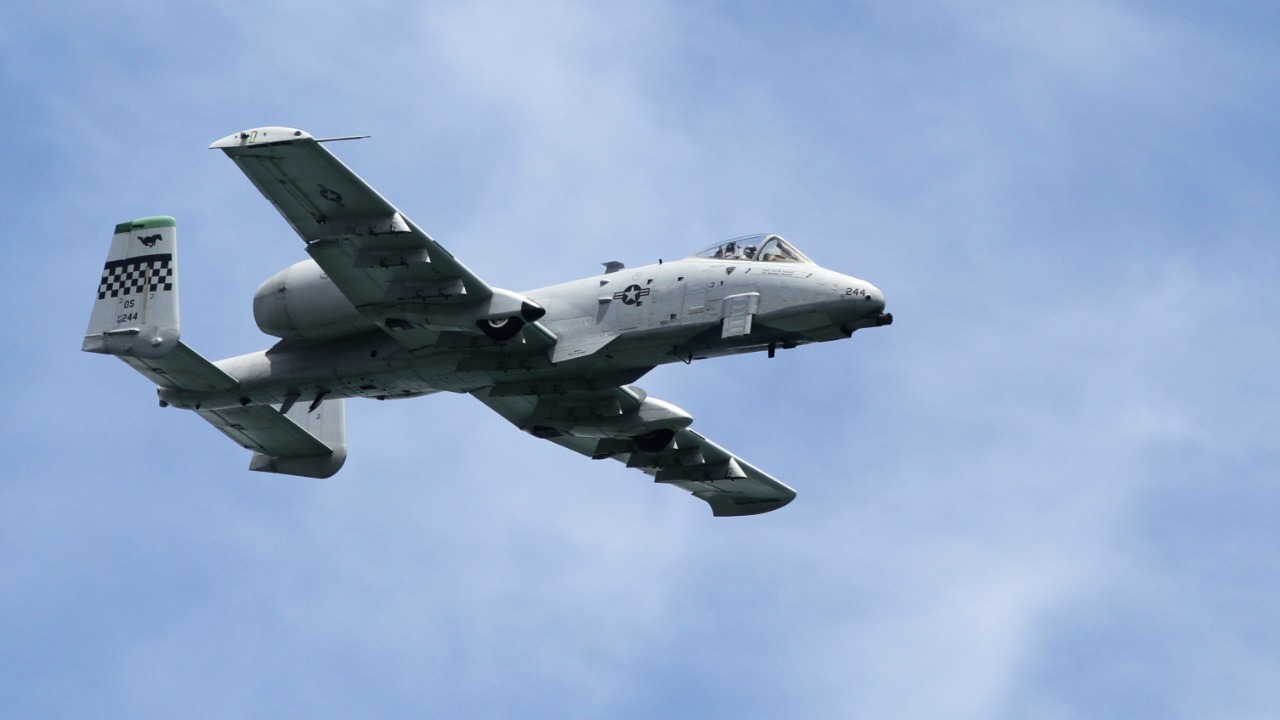 Image Credit: Kentaro Iemoto from Tokyo, Japan - CC BY-SA 2.0/Wiki Commons