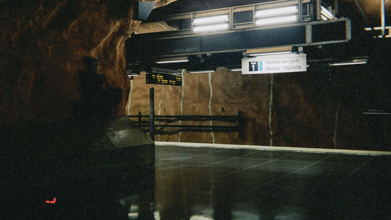 anniespratt/Unsplash