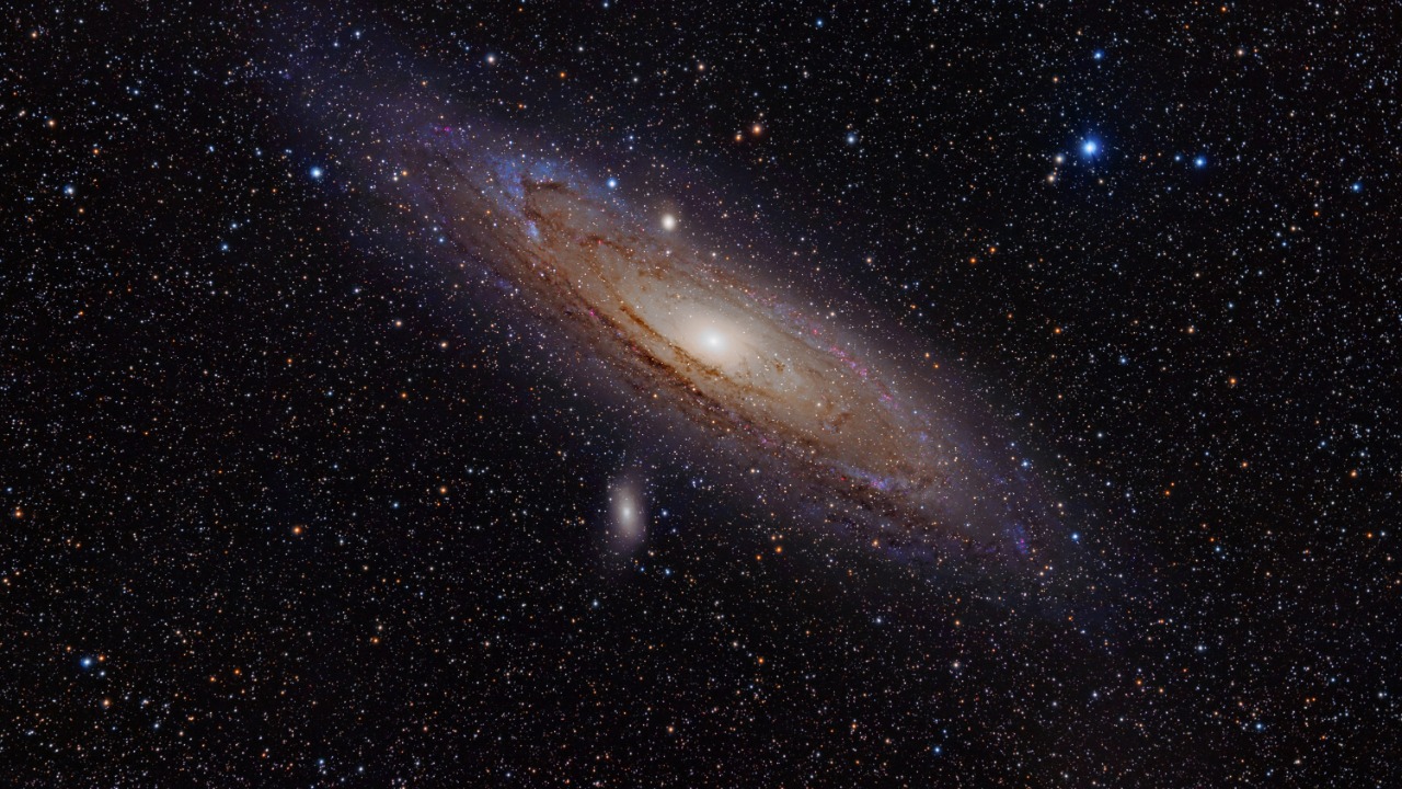 Image Credit: Adam Evans - CC BY 2.0/Wiki Commons