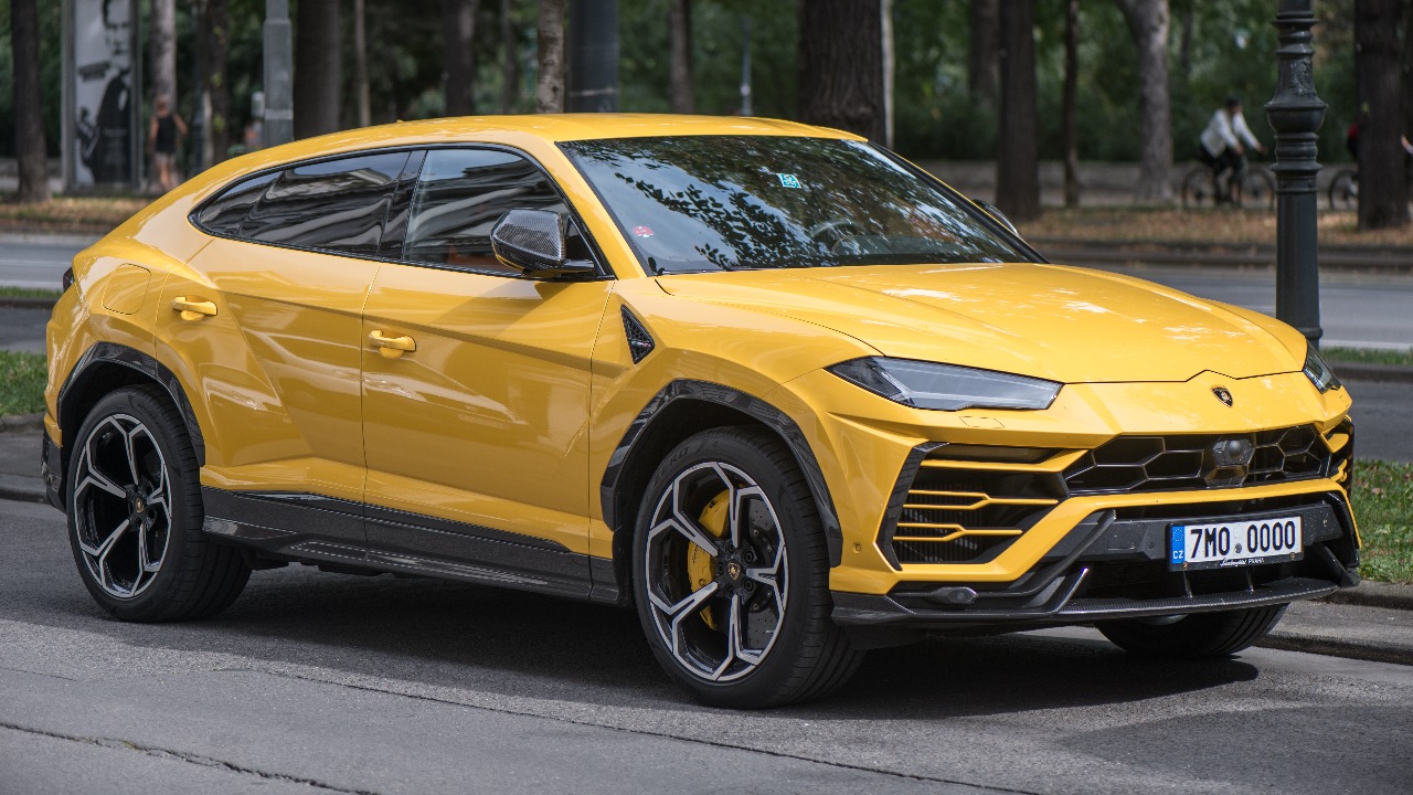 Image Credit: Johannes Maximilian - CC BY-SA 4.0/Wiki Commons