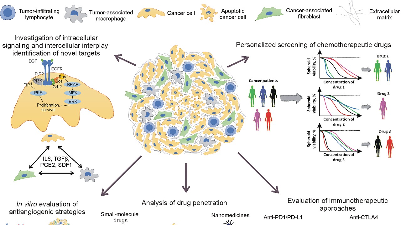 Image Credit: Rozenberg JM, Filkov GI, Trofimenko AV, Karpulevich EA, Parshin VD, Royuk VV, Sekacheva MI and Durymanov MO - CC BY 4.0/Wiki Commons