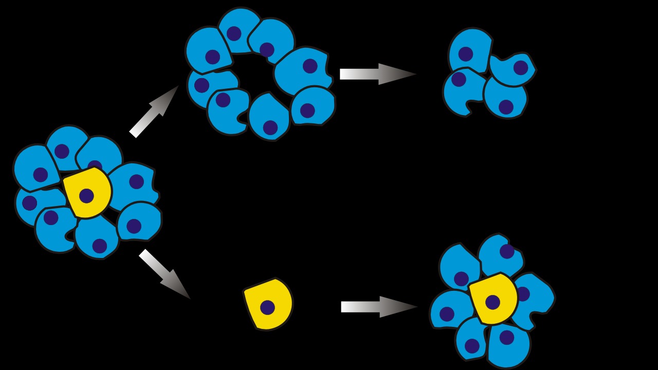 Image Credit: Peter Znamenskiy - Public domain/Wiki Commons