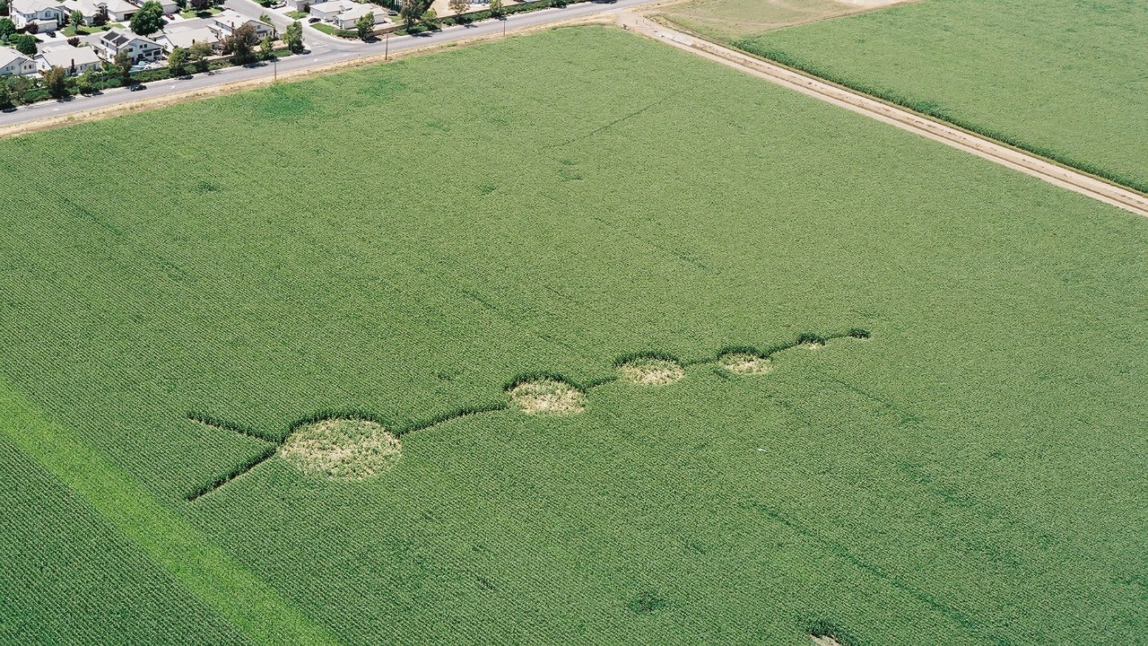 Image Credit: Smwindham at English Wikipedia - CC BY 2.5/Wiki Commons